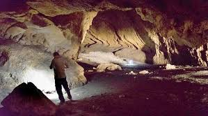 Where did Homo sapiens go after leaving Africa?