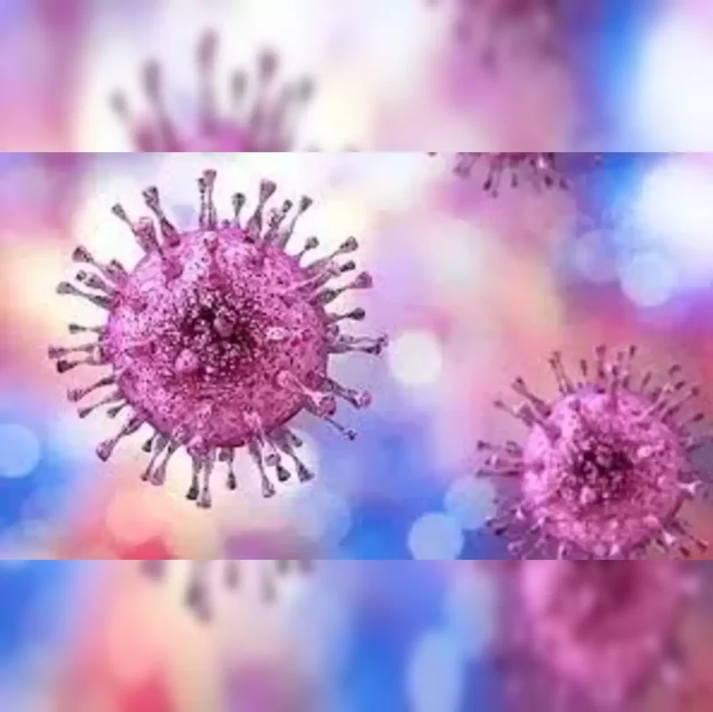 What is the Pandemic Accord